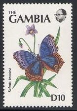 Blue Salamis Butterfly (Salamis temora)