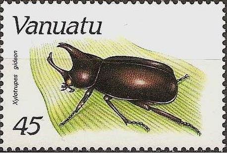 Brown Rhinoceros Beetle (Xylotrupes gideon)