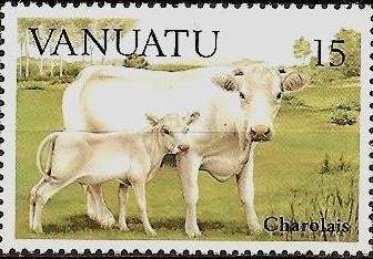 Stamp, Charolais Cattle (Bos primigenius taurus) - Cow with Calf, Vanuatu,  , Cattle, Animals (Fauna)