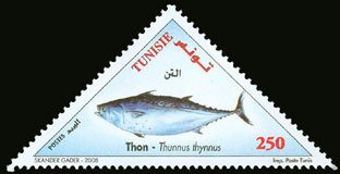 Atlantic Bluefin Tuna (Thunnus thynnus)
