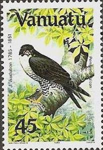 Stamp, Peregrine Falcon (Falco peregrinus), Vanuatu,  , Birds, Birds of Prey, Animals (Fauna), Falcons