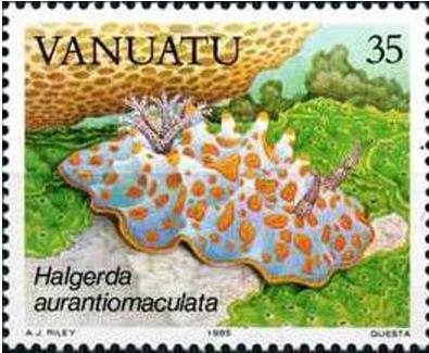 Gold-spotted Halgerda (Halgerda aurantiomaculata)
