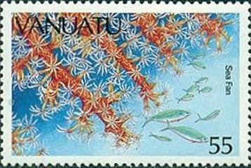 Sea Fan (Gorgonia sp.)
