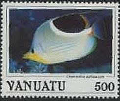 Saddle Butterflyfish (Chaetodon ephippium)