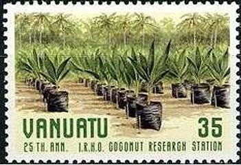 Seedlings