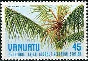 Coconut Tree