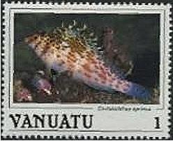 Spotted Hawkfish (Cirrhitichthys aprinus)