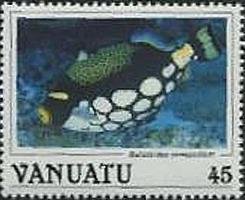 Clown Triggerfish (Balistoides conspicillum)