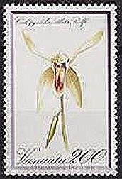 Stamp, Coelogyne lamellata, Vanuatu,  , Flowers, Orchids