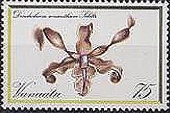 Stamp, Dendrobium conanthum, Vanuatu,  , Flowers, Orchids