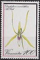 Dendrobium macranthum