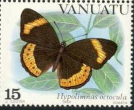 Eight-Spot Butterfly (Hypolimnas octocula)
