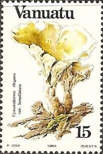 Stamp, Cymatoderma elegans, Vanuatu,  , Mushrooms, Plants (Flora)