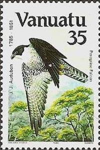 Stamp, Peregrine Falcon (Falco peregrinus), Vanuatu,  , Birds, Birds of Prey, Animals (Fauna), Falcons