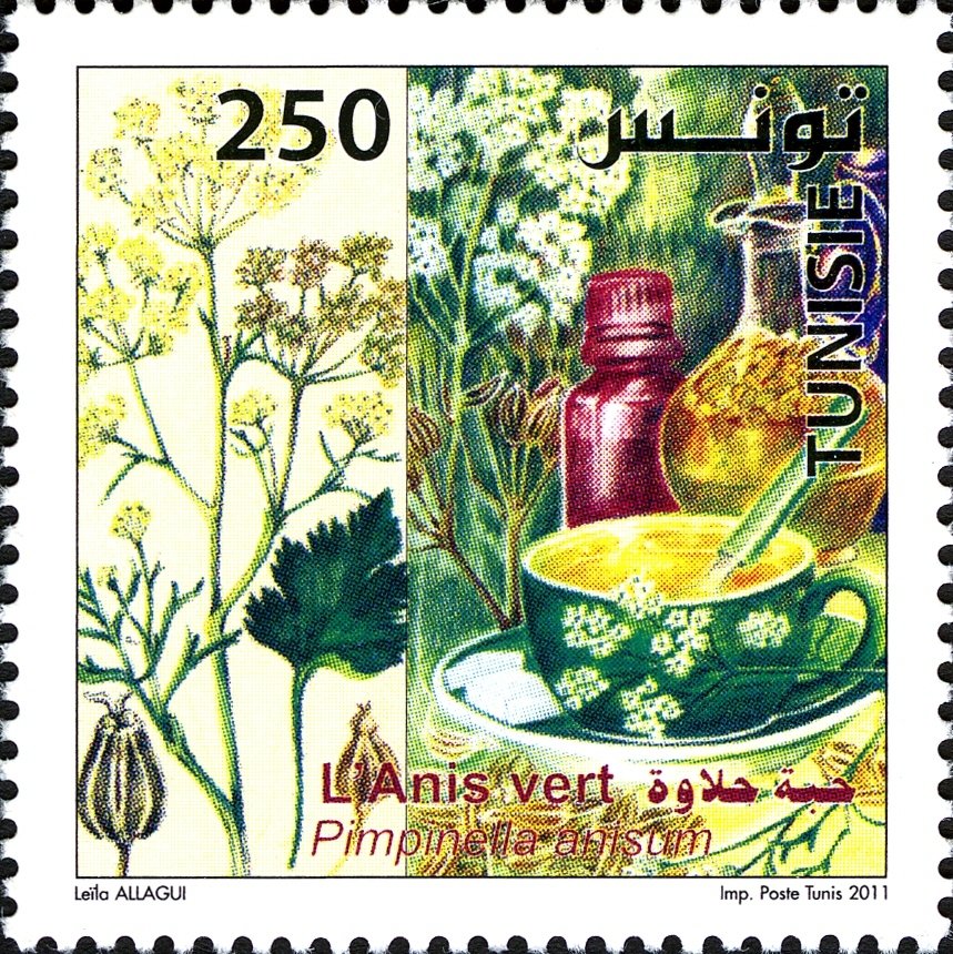 Green Anise