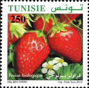 Stamp, The Strawberry, Tunisia,  , Fruits