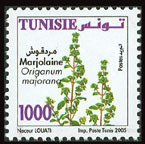 Marjoram
