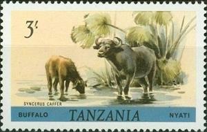 Stamp, African Buffalo (Syncerus caffer), Tanzania,  , Animals (Fauna), Mammals