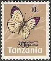 Bushveld Purple Tip (Colotis ione)