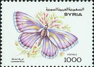 Stamp, Common Blue (Polyommatus icarus), Syria,  , Butterflies