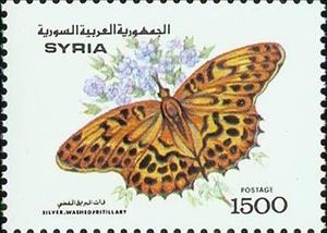 Stamp, Silver-washed Fritillary (Argynnis paphia), Syria,  , Butterflies