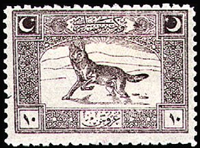 Wolf (Canis lupus)