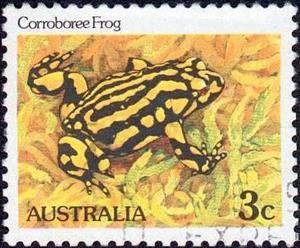 Stamp, Corroboree Frog (Pseudophryne corroboree), Australia,  , Frogs, Amphibians, Animals (Fauna)