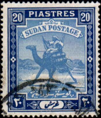 Postman with Dromedary (Camelus dromedarius)