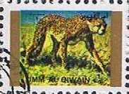 Stamp, Cheetah (Acinonyx jubatus), Umm al-Qiwain,  , Cheetahs