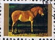 Stamp, Przewalski’s Horse (Equus przewalskii), Umm al-Qiwain,  , Horses
