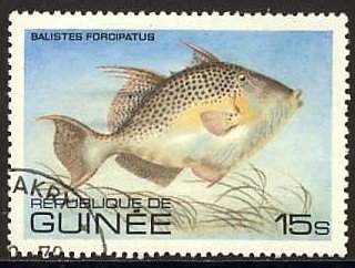 Stamp, Gray Triggerfish (Balistes carolinensis), Guinea, Social Democratic Republic,  , Fishes