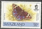 Blue Pansy (Junonia orithya ssp. madagascariensis)