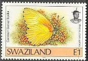 Stamp, Common Dotted Border (Mylothris chloris ssp. agathina), Swaziland,  , Insects, Butterflies, Animals (Fauna)