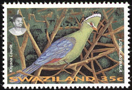 Knysna Turaco (Tauraco corythaix)