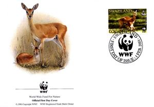 Oribi (Ourebia ourebi)