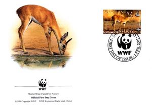 Oribi (Ourebia ourebi)
