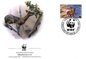 First Day Cover, Klipspringer (Oreotragus oreotragus), Swaziland,  , WWF, Animals (Fauna)