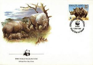 White Rhinoceros (Ceratotherium simum)