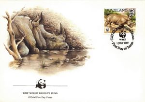 White Rhinoceros (Ceratotherium simum)