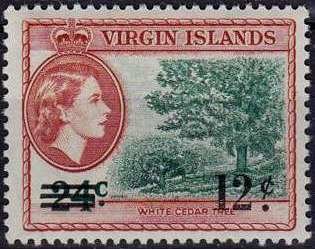 Stamp, White cedar tree, British Virgin Islands,  , Trees
