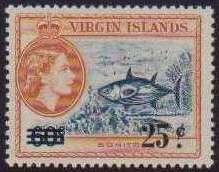 Atlantic Bonito (Sarda sarda)