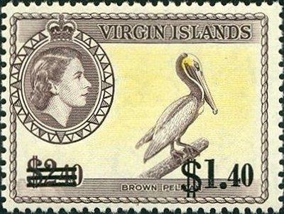 Brown Pelican (Pelecanus occidentalis) - Overprinted