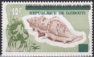 Stamp, Spiny Frog Shell (Bufonaria echinata), Djibouti,  , Shells