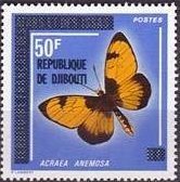 Broad Bordered Acraea (Acraea anemosa) 
