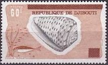 Stamp, Ringed Cone (Conus taeniatus) , Djibouti,  , Shells