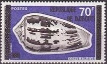 Stamp, Striated Cone (Conus striatus), Djibouti,  , Shells