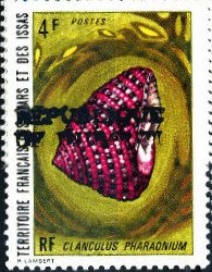 Stamp, Strawberry Topshell (Clanculus pharaonium) , Djibouti,  , Shells