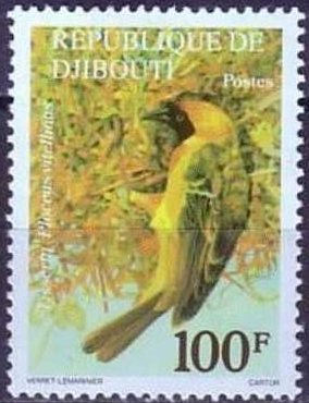 Vitteline Masked-Weaver (Ploceus velatus vitellinus) 