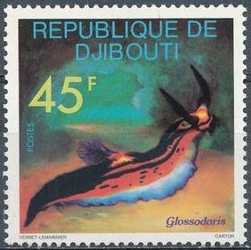 Sea Slug (Glossodoris sp.) 