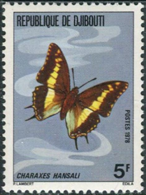 Cream-banded Charaxes (Charaxes hansali)